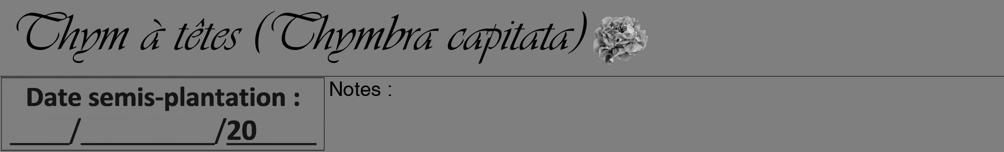 Étiquette de : Thymbra capitata - format a - style noire31viv avec comestibilité simplifiée