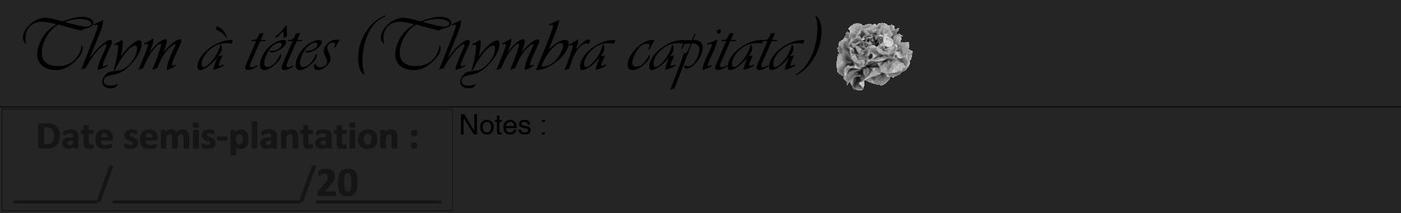 Étiquette de : Thymbra capitata - format a - style noire47viv avec comestibilité simplifiée