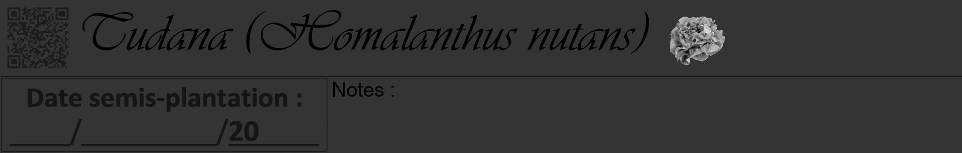 Étiquette de : Homalanthus nutans - format a - style noire46basiqueviv avec qrcode et comestibilité simplifiée