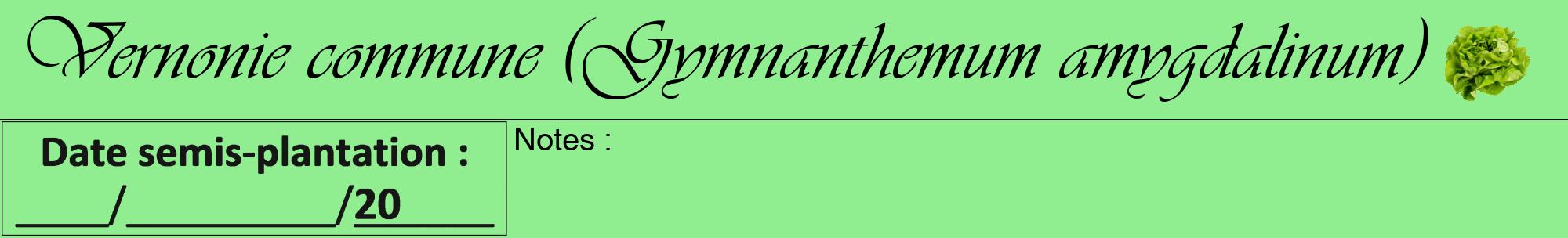 Étiquette de : Gymnanthemum amygdalinum - format a - style noire15viv avec comestibilité simplifiée