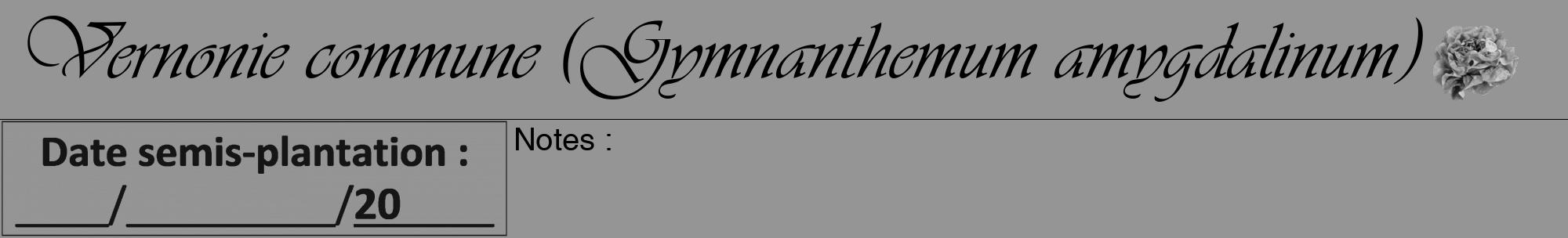 Étiquette de : Gymnanthemum amygdalinum - format a - style noire16viv avec comestibilité simplifiée