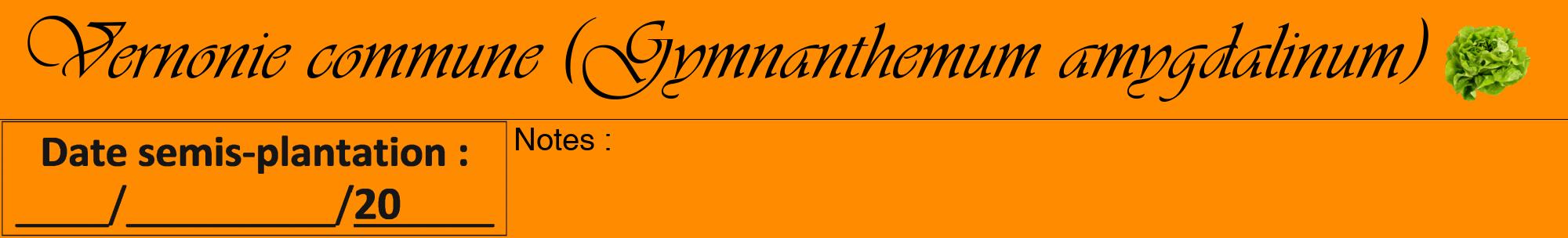 Étiquette de : Gymnanthemum amygdalinum - format a - style noire23viv avec comestibilité simplifiée