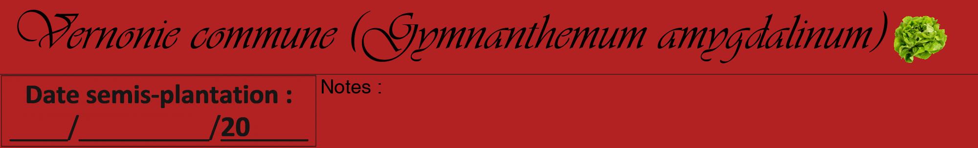 Étiquette de : Gymnanthemum amygdalinum - format a - style noire28viv avec comestibilité simplifiée
