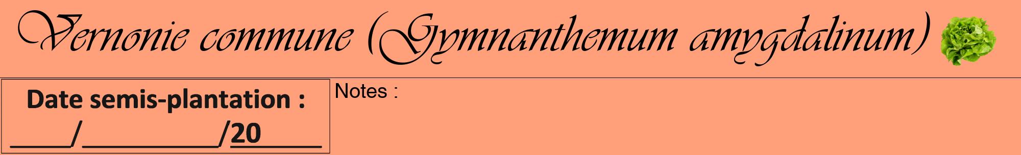 Étiquette de : Gymnanthemum amygdalinum - format a - style noire39viv avec comestibilité simplifiée