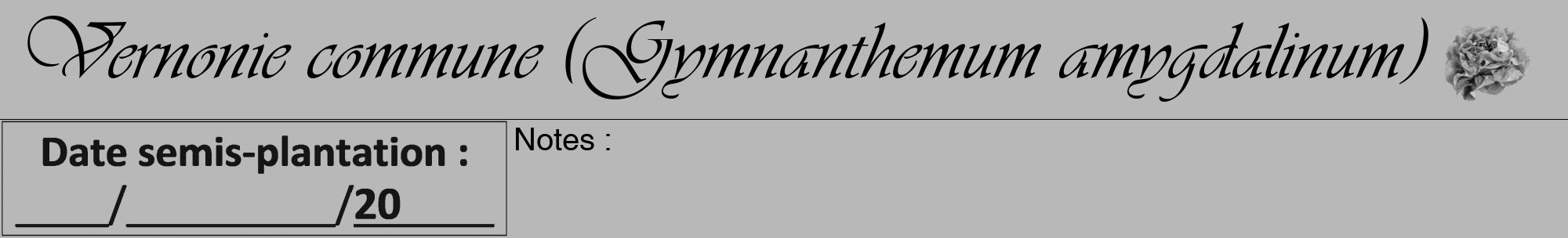 Étiquette de : Gymnanthemum amygdalinum - format a - style noire39viv avec comestibilité simplifiée