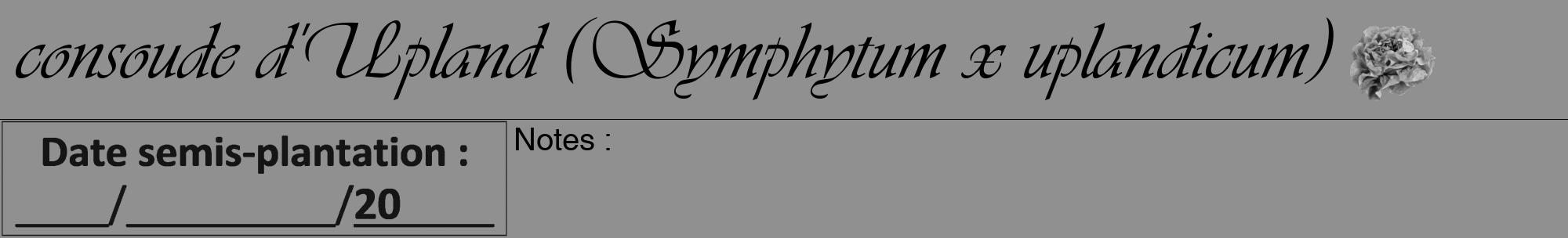 Étiquette de : Symphytum x uplandicum - format a - style noire4viv avec comestibilité simplifiée