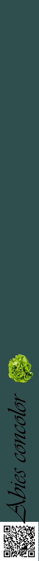 Étiquette de : Abies concolor - format a - style noire58viv avec qrcode et comestibilité simplifiée