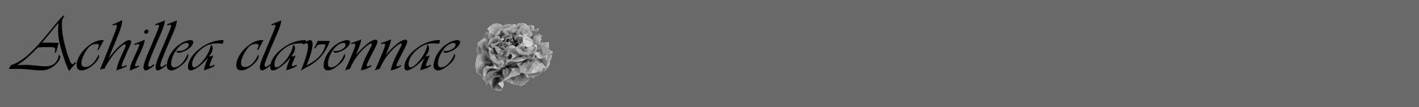 Étiquette de : Achillea clavennae - format a - style noire11viv avec comestibilité simplifiée