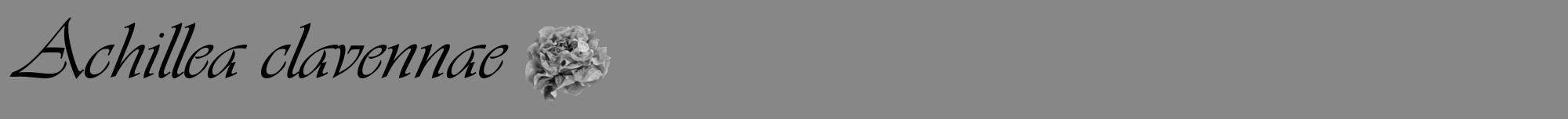 Étiquette de : Achillea clavennae - format a - style noire12viv avec comestibilité simplifiée