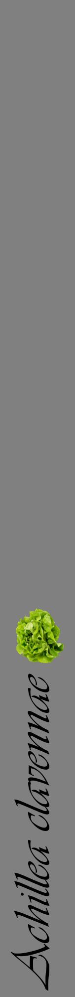 Étiquette de : Achillea clavennae - format a - style noire57viv avec comestibilité simplifiée
