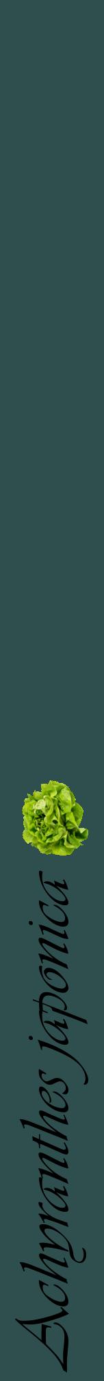 Étiquette de : Achyranthes japonica - format a - style noire58viv avec comestibilité simplifiée