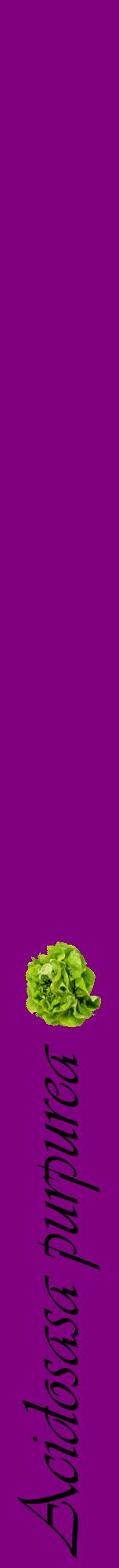 Étiquette de : Acidosasa purpurea - format a - style noire46viv avec comestibilité simplifiée