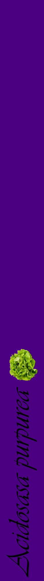 Étiquette de : Acidosasa purpurea - format a - style noire47viv avec comestibilité simplifiée