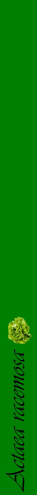 Étiquette de : Actaea racemosa - format a - style noire9viv avec comestibilité simplifiée