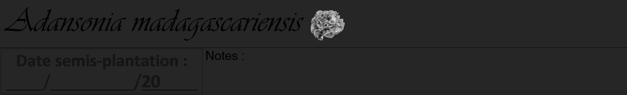 Étiquette de : Adansonia madagascariensis - format a - style noire29viv avec comestibilité simplifiée