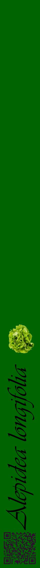 Étiquette de : Alepidea longifolia - format a - style noire8viv avec qrcode et comestibilité simplifiée