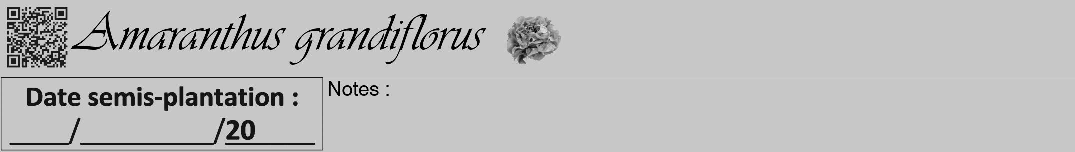 Étiquette de : Amaranthus grandiflorus - format a - style noire15viv avec qrcode et comestibilité simplifiée