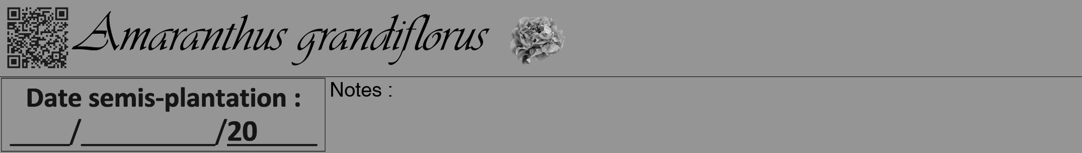 Étiquette de : Amaranthus grandiflorus - format a - style noire16viv avec qrcode et comestibilité simplifiée