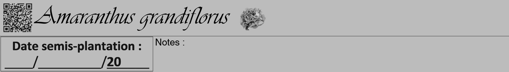 Étiquette de : Amaranthus grandiflorus - format a - style noire1viv avec qrcode et comestibilité simplifiée