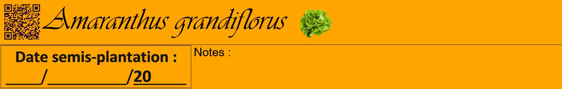 Étiquette de : Amaranthus grandiflorus - format a - style noire22basiqueviv avec qrcode et comestibilité simplifiée