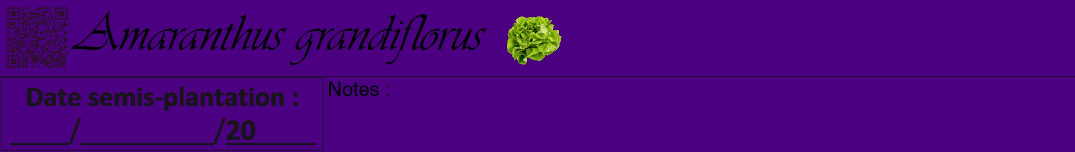 Étiquette de : Amaranthus grandiflorus - format a - style noire47viv avec qrcode et comestibilité simplifiée