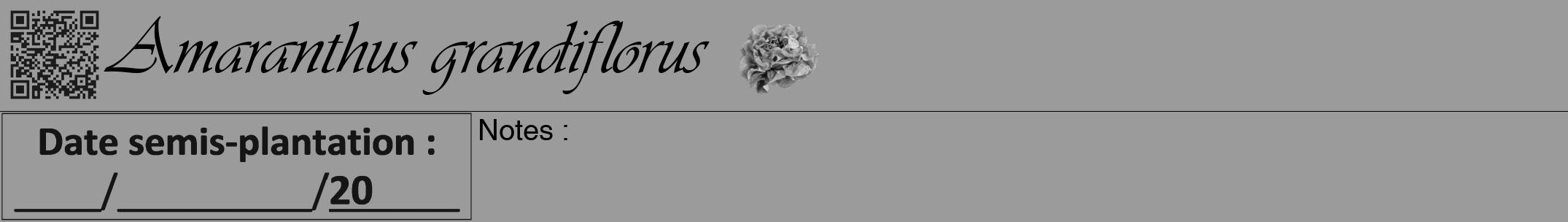 Étiquette de : Amaranthus grandiflorus - format a - style noire52viv avec qrcode et comestibilité simplifiée
