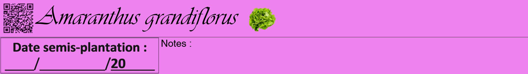 Étiquette de : Amaranthus grandiflorus - format a - style noire53viv avec qrcode et comestibilité simplifiée