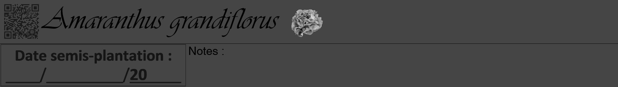 Étiquette de : Amaranthus grandiflorus - format a - style noire58viv avec qrcode et comestibilité simplifiée
