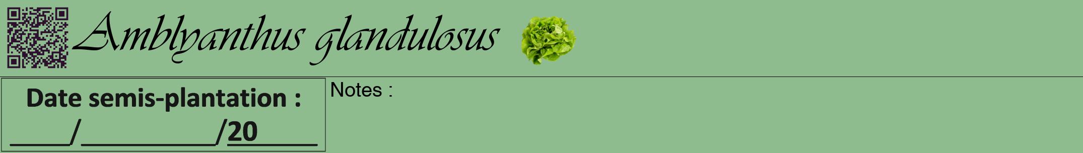 Étiquette de : Amblyanthus glandulosus - format a - style noire13viv avec qrcode et comestibilité simplifiée