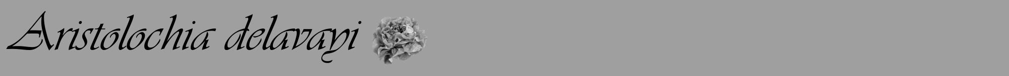 Étiquette de : Aristolochia delavayi - format a - style noire24viv avec comestibilité simplifiée