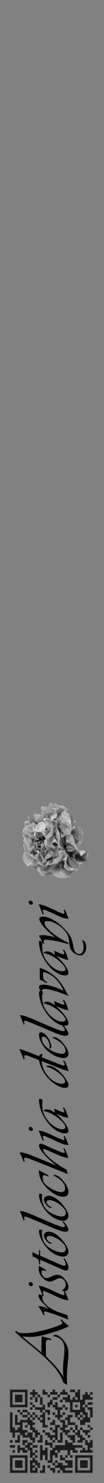 Étiquette de : Aristolochia delavayi - format a - style noire50basiqueviv avec qrcode et comestibilité simplifiée - position verticale