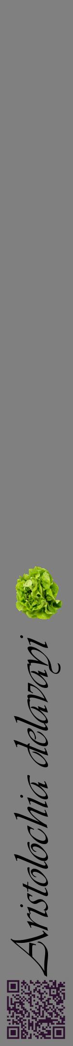 Étiquette de : Aristolochia delavayi - format a - style noire57viv avec qrcode et comestibilité simplifiée