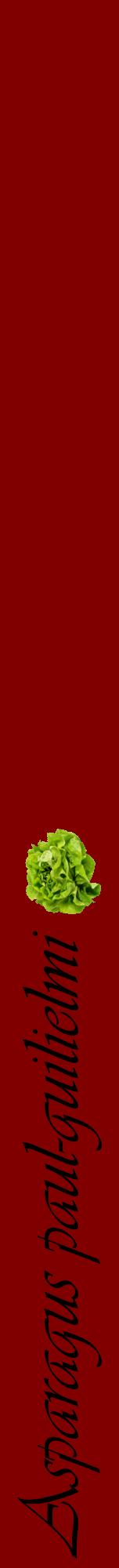 Étiquette de : Asparagus paul-guilielmi - format a - style noire29viv avec comestibilité simplifiée