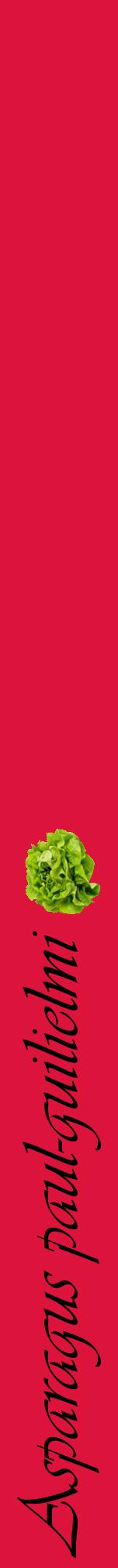 Étiquette de : Asparagus paul-guilielmi - format a - style noire36viv avec comestibilité simplifiée