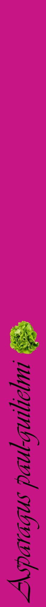 Étiquette de : Asparagus paul-guilielmi - format a - style noire45viv avec comestibilité simplifiée