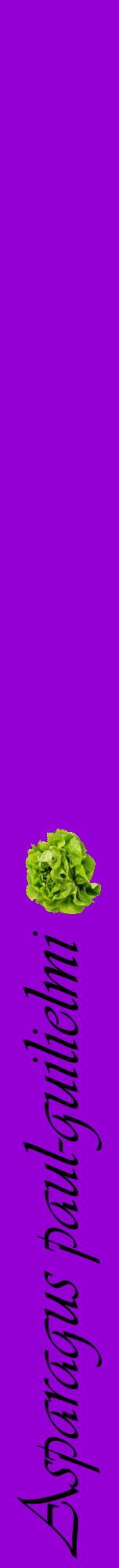 Étiquette de : Asparagus paul-guilielmi - format a - style noire48viv avec comestibilité simplifiée