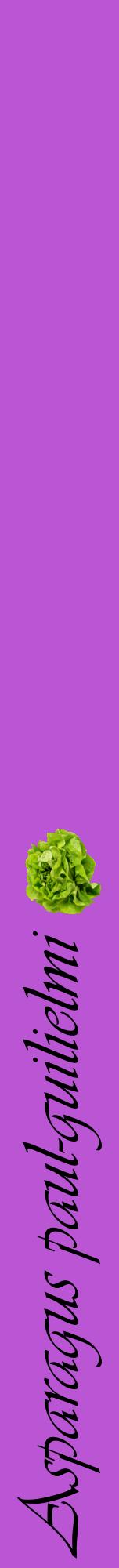 Étiquette de : Asparagus paul-guilielmi - format a - style noire50viv avec comestibilité simplifiée