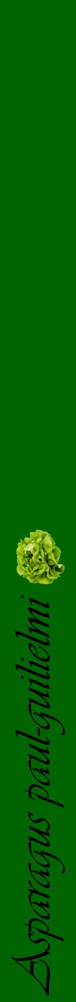 Étiquette de : Asparagus paul-guilielmi - format a - style noire8viv avec comestibilité simplifiée