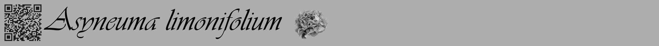 Étiquette de : Asyneuma limonifolium - format a - style noire53viv avec qrcode et comestibilité simplifiée