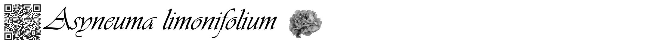 Étiquette de : Asyneuma limonifolium - format a - style noire60viv avec qrcode et comestibilité simplifiée