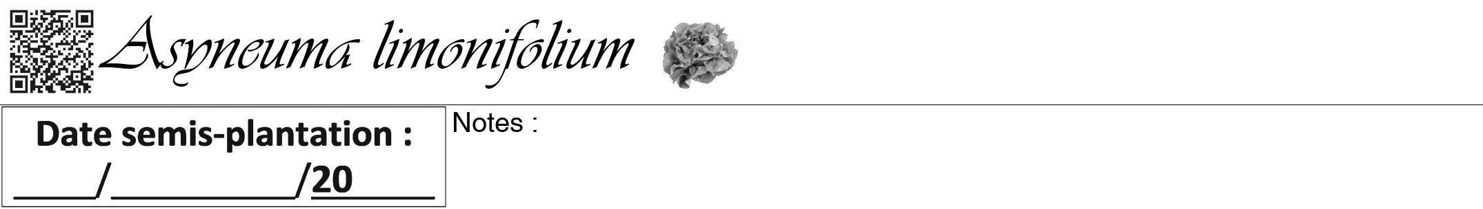 Étiquette de : Asyneuma limonifolium - format a - style noire60viv avec qrcode et comestibilité simplifiée
