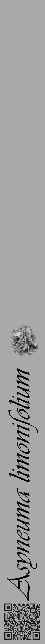 Étiquette de : Asyneuma limonifolium - format a - style noire13viv avec qrcode et comestibilité simplifiée - position verticale