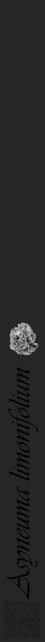 Étiquette de : Asyneuma limonifolium - format a - style noire29viv avec qrcode et comestibilité simplifiée - position verticale