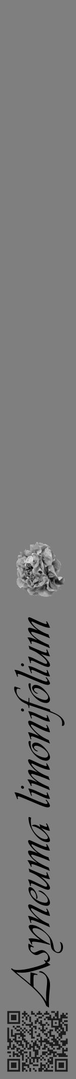 Étiquette de : Asyneuma limonifolium - format a - style noire57viv avec qrcode et comestibilité simplifiée - position verticale
