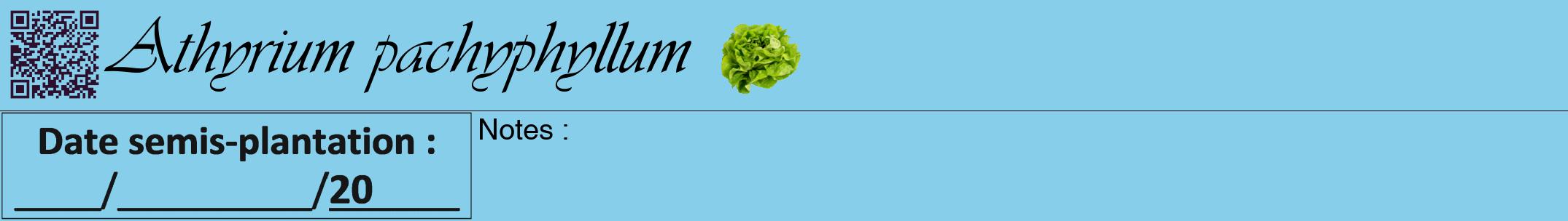 Étiquette de : Athyrium pachyphyllum - format a - style noire1simpleviv avec qrcode et comestibilité simplifiée