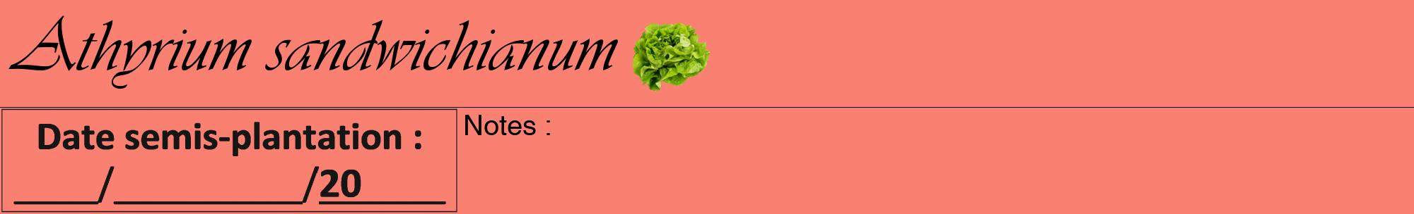 Étiquette de : Athyrium sandwichianum - format a - style noire38viv avec comestibilité simplifiée