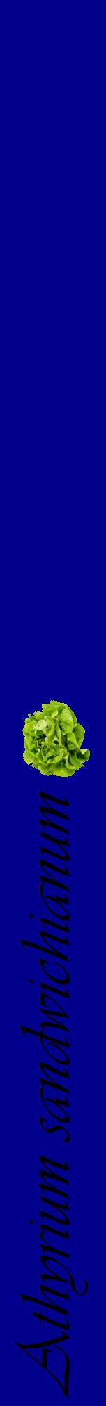 Étiquette de : Athyrium sandwichianum - format a - style noire7viv avec comestibilité simplifiée