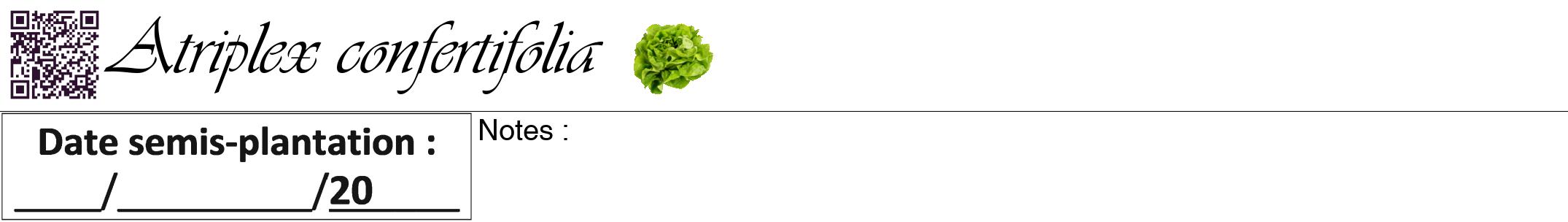 Étiquette de : Atriplex confertifolia - format a - style noire60viv avec qrcode et comestibilité simplifiée