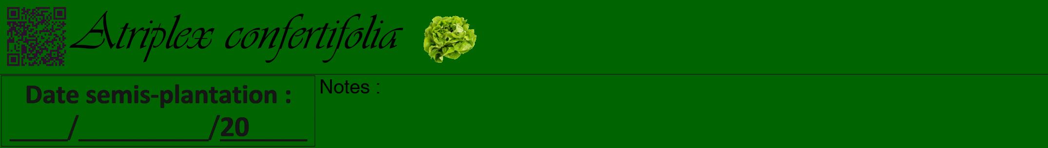 Étiquette de : Atriplex confertifolia - format a - style noire8viv avec qrcode et comestibilité simplifiée