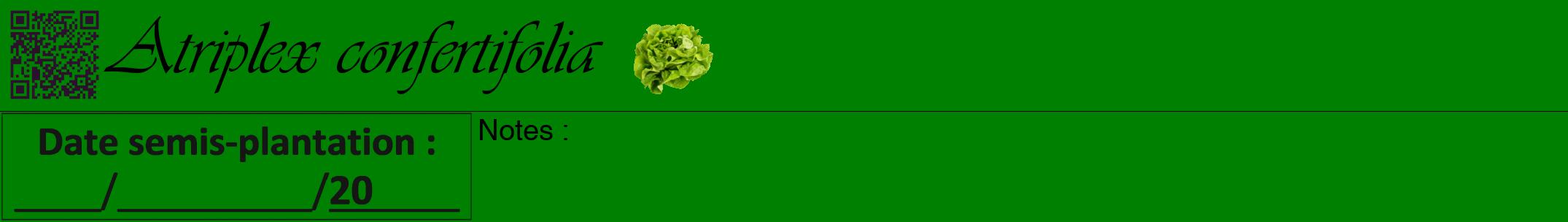 Étiquette de : Atriplex confertifolia - format a - style noire9viv avec qrcode et comestibilité simplifiée